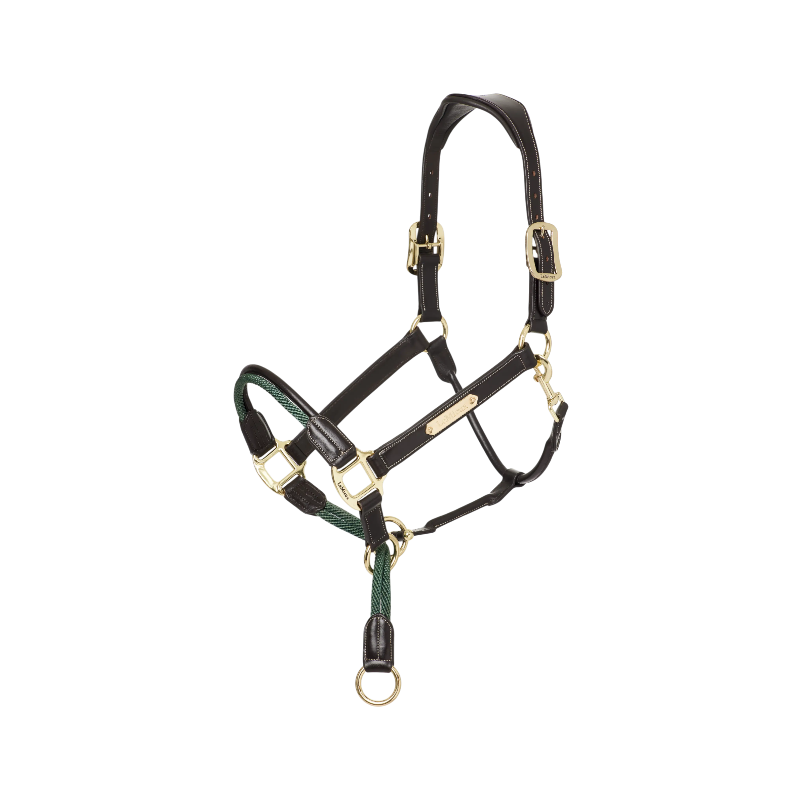 Lemieux - Licol Rop Control marron | - Ohlala