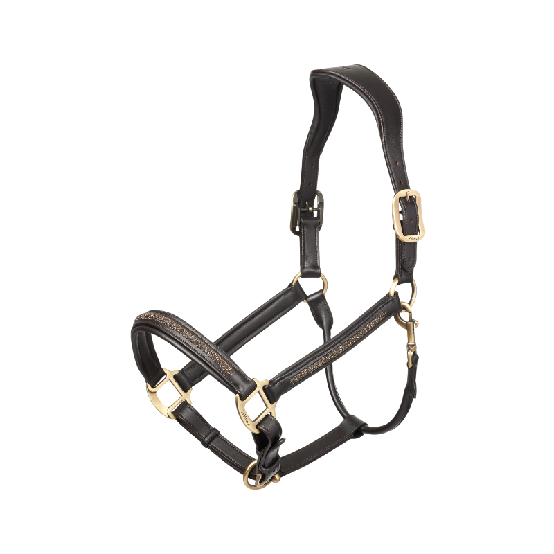 Lemieux - Licol en cuir leather Crystal marron | - Ohlala