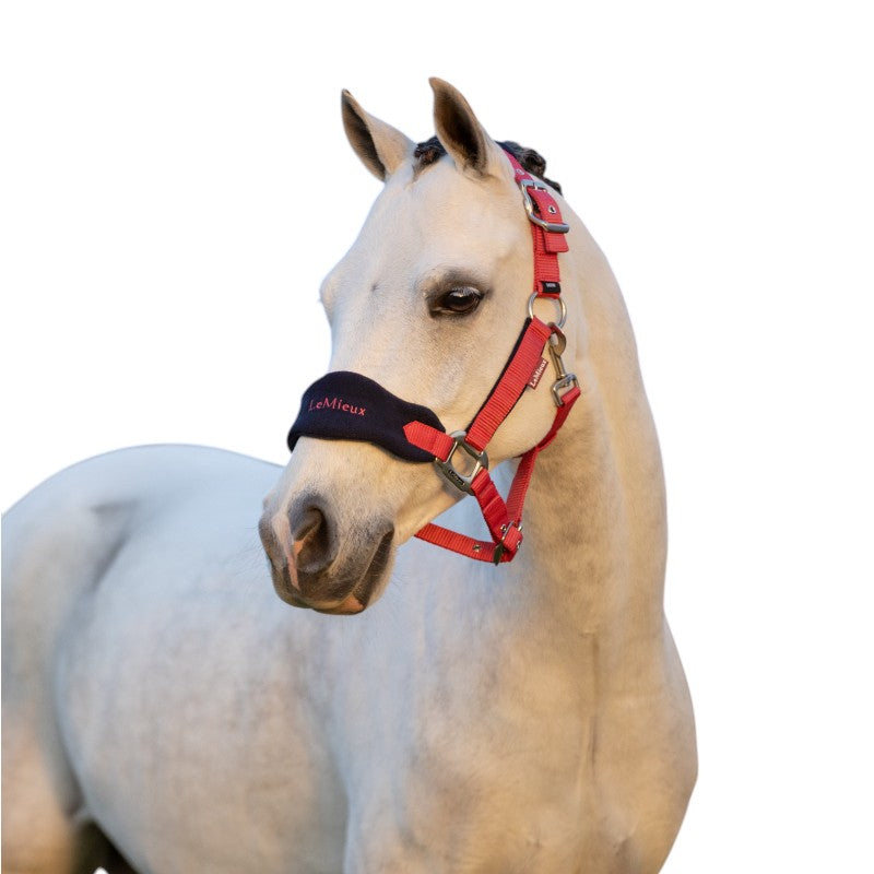 LeMieux - Licol et longe Vogue cranberry | - Ohlala