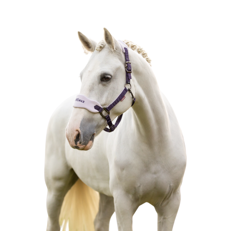 LeMieux - Licol et longe Vogue juniper | - Ohlala