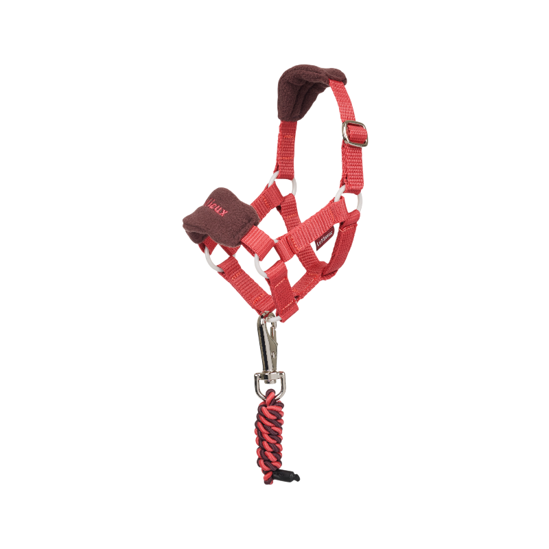 LeMieux - Licol et longe Vogue pour peluche Toy Pony cranberry | - Ohlala