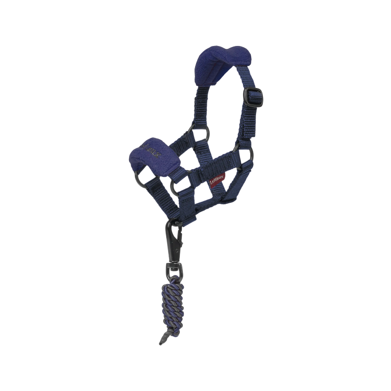 Lemieux - Licol pour Toy Pony Vogue ink blue | - Ohlala