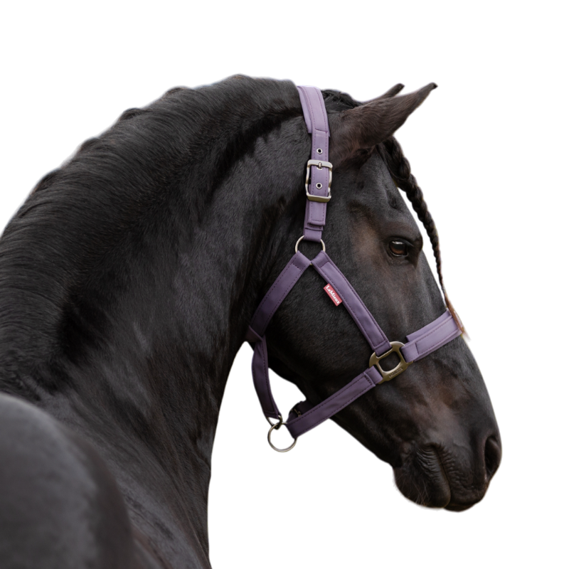 LeMieux - Licol pour chevaux Essence juniper | - Ohlala