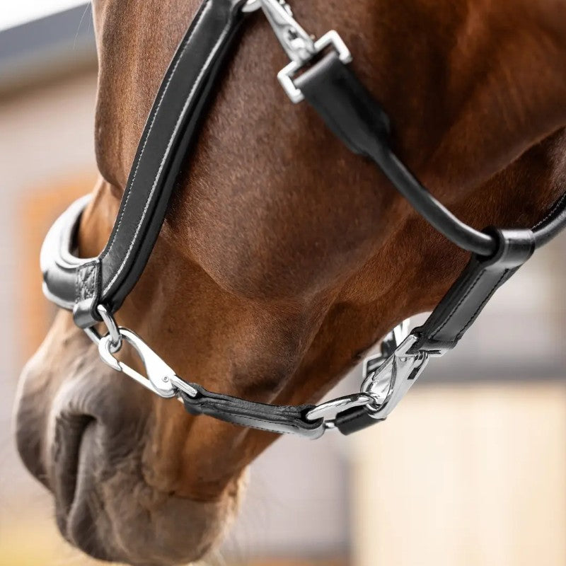 Lemieux - Licol pour chevaux Leather Grooming noir | - Ohlala