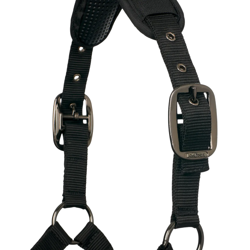 Lemieux - Licol pour chevaux ProSafe noir | - Ohlala