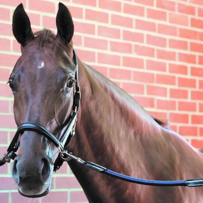 Lemieux - Longe d'attache Bungee marine | - Ohlala