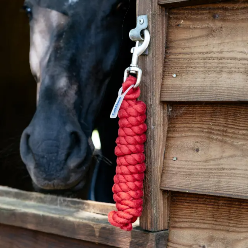 Lemieux - Longe en polycoton Chilli | - Ohlala