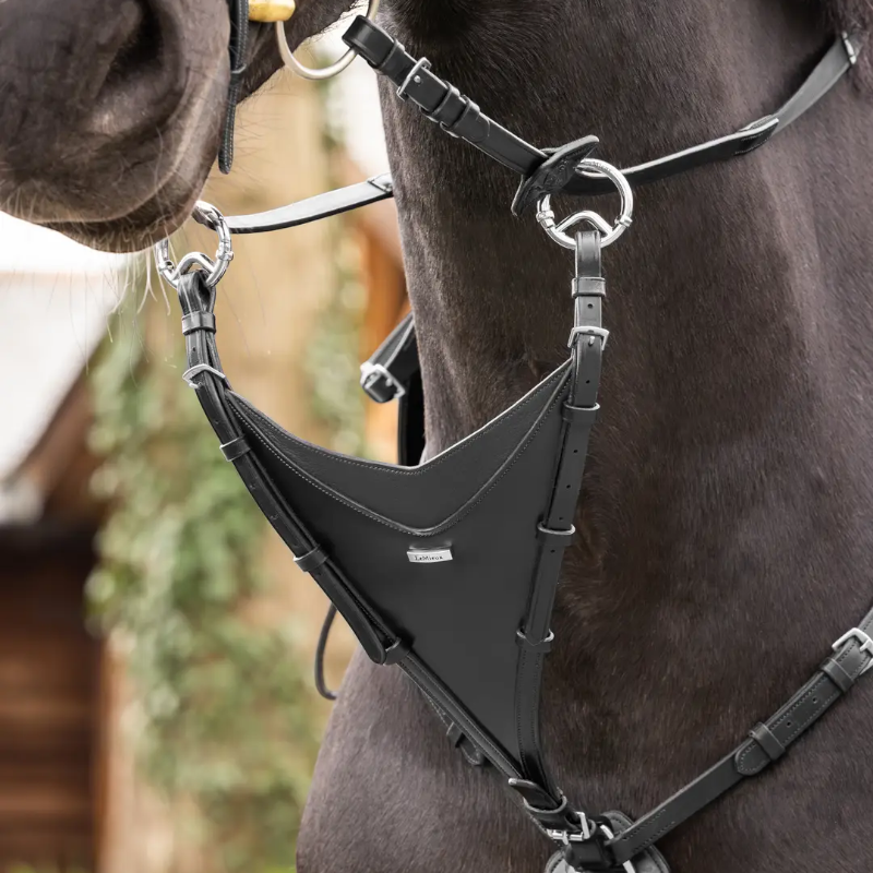 Lemieux - Martingale Bib Kudos noir/ argent | - Ohlala