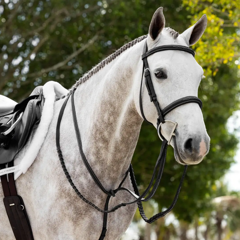 Lemieux - Martingale fixe Hunter noir/ argent | - Ohlala