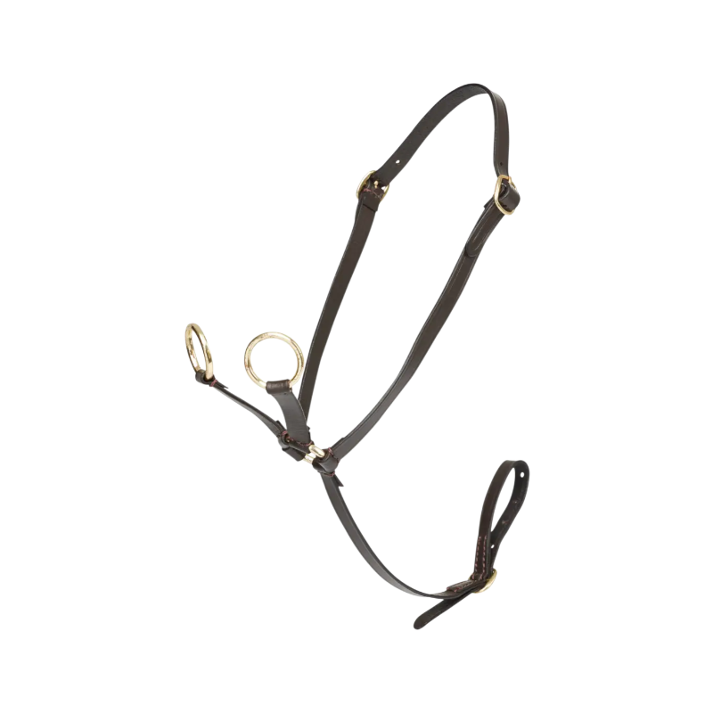 Lemieux - Martingale pour Toy Pony marron | - Ohlala