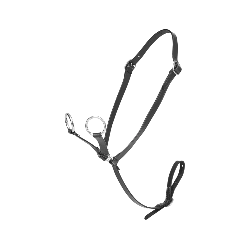 Lemieux - Martingale pour Toy Pony noir | - Ohlala