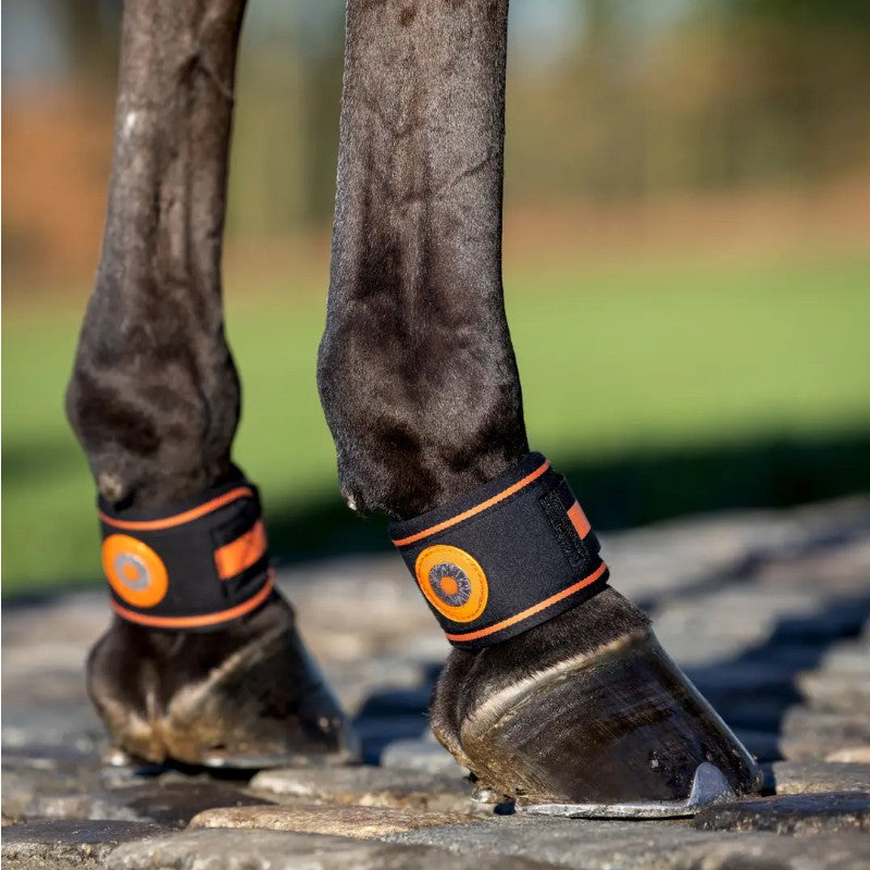 Lemieux - Protège paturons Magno noir | - Ohlala