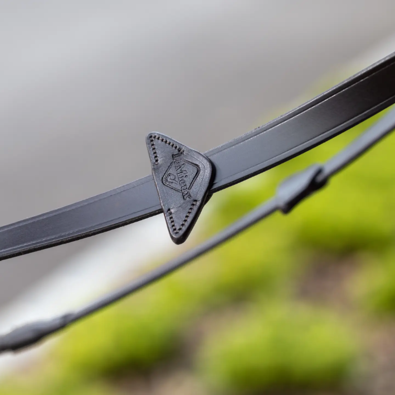 Lemieux - Rênes caoutchouc marron/ laiton | - Ohlala