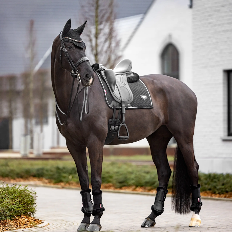 Lemieux - Tapis de dressage Puissance Suede Square noir | - Ohlala