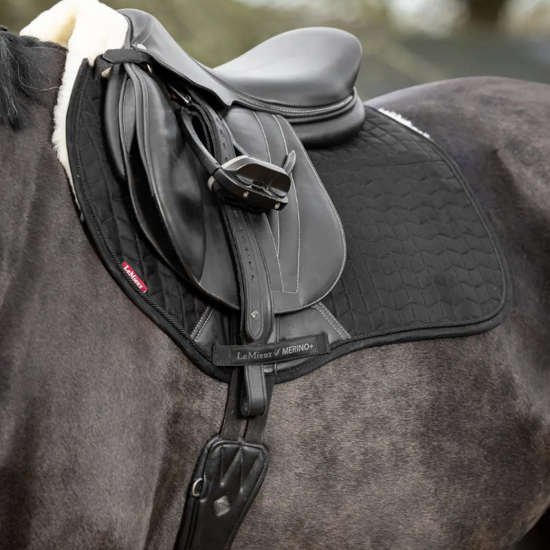 Lemieux - Tapis de selle EuroJump Merino + noir/ naturel | - Ohlala