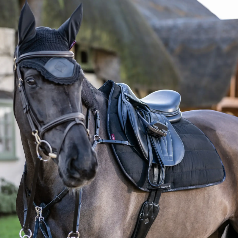 Lemieux - Tapis de selle GP Work noir | - Ohlala