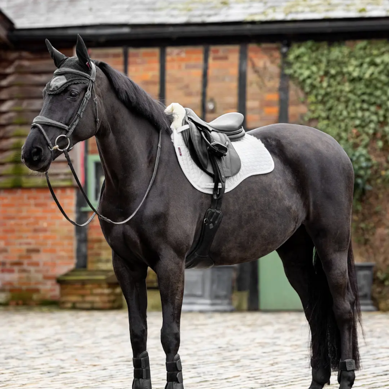 Lemieux - Tapis de selle Square Mixte Merino + blanc/ naturel | - Ohlala