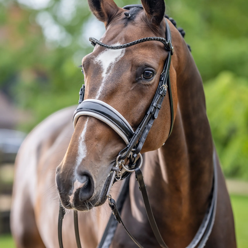 Lemieux - Bride Kudos noir/ blanc | - Ohlala