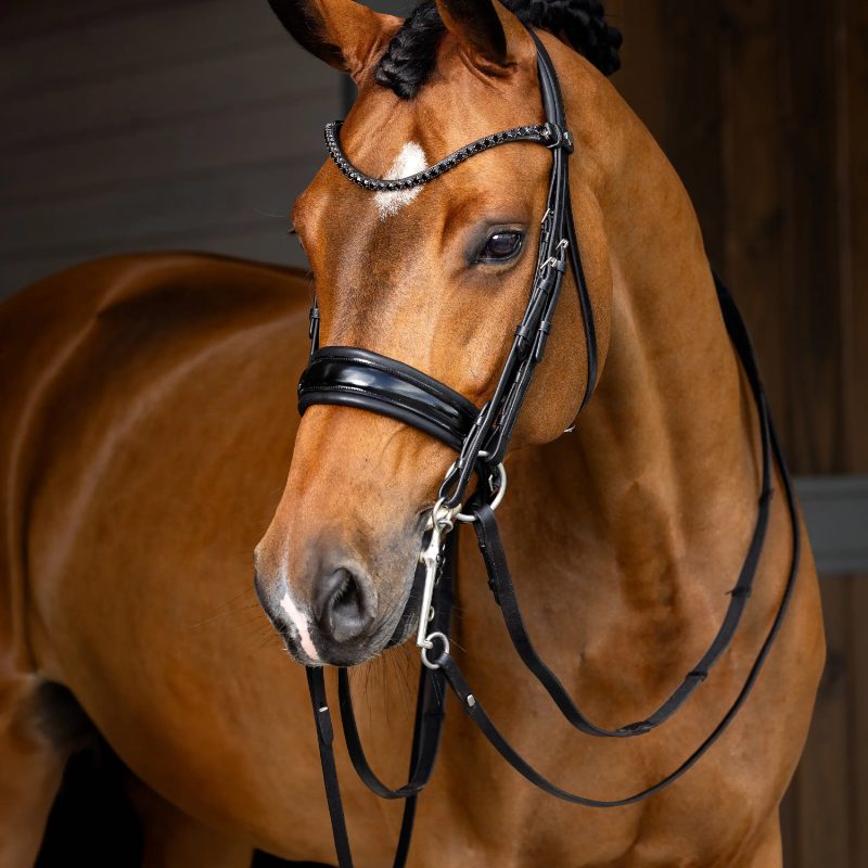 Lemieux - Bride Kudos noir | - Ohlala