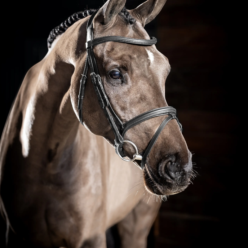 Lemieux - Bridon Arika Flash noir/ argent | - Ohlala