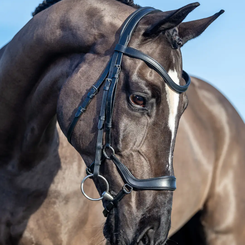 Lemieux - Bridon Arika muserolle basse noir/ argent | - Ohlala