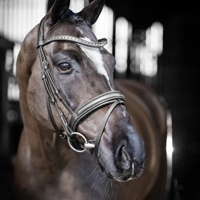 Lemieux - Bridon de dressage Arika noir/ argent | - Ohlala