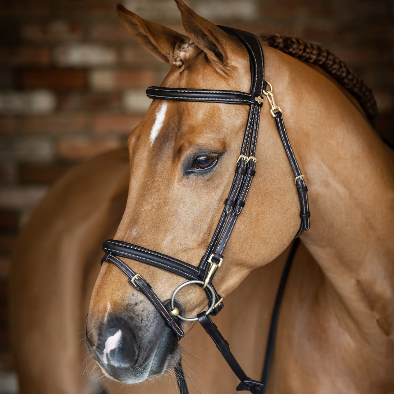 Lemieux - Bridon Kudos Work marron | - Ohlala