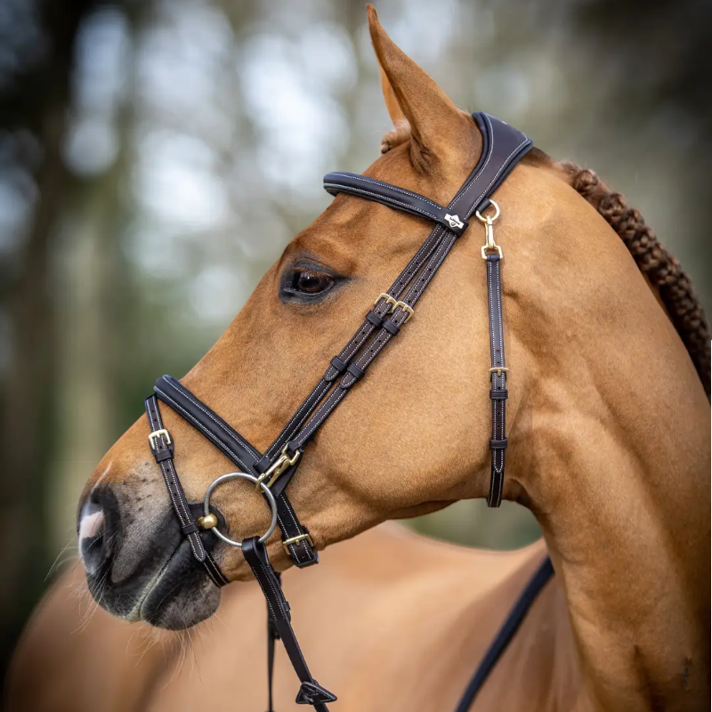 Lemieux - Bridon Kudos Work marron | - Ohlala