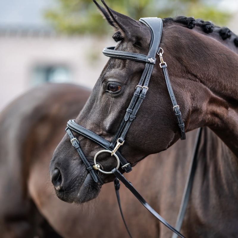 Lemieux - Bridon Kudos Work noir | - Ohlala