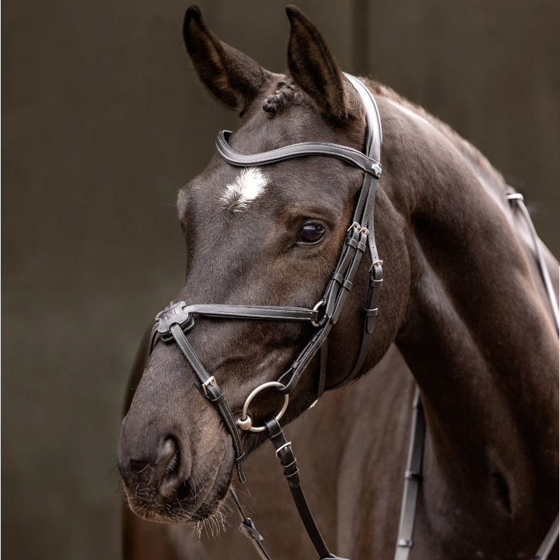 Lemieux - Bridon muserolle croisée Arika noir/ argent | - Ohlala