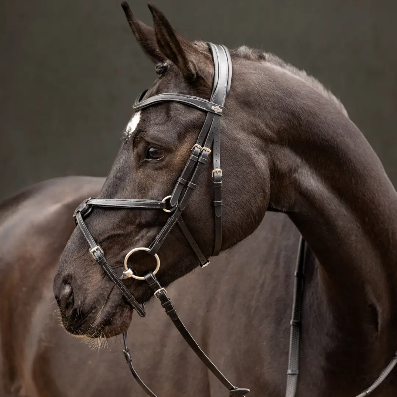 Lemieux - Bridon muserolle croisée Arika noir/ argent | - Ohlala