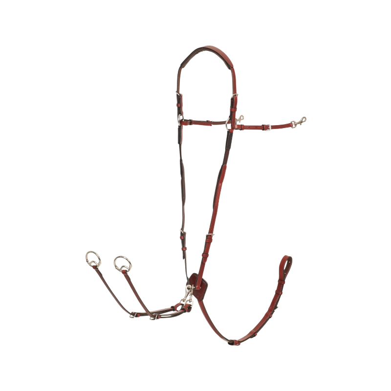 Lemieux - Collier de chasse D-Ring chesnut/ argent | - Ohlala