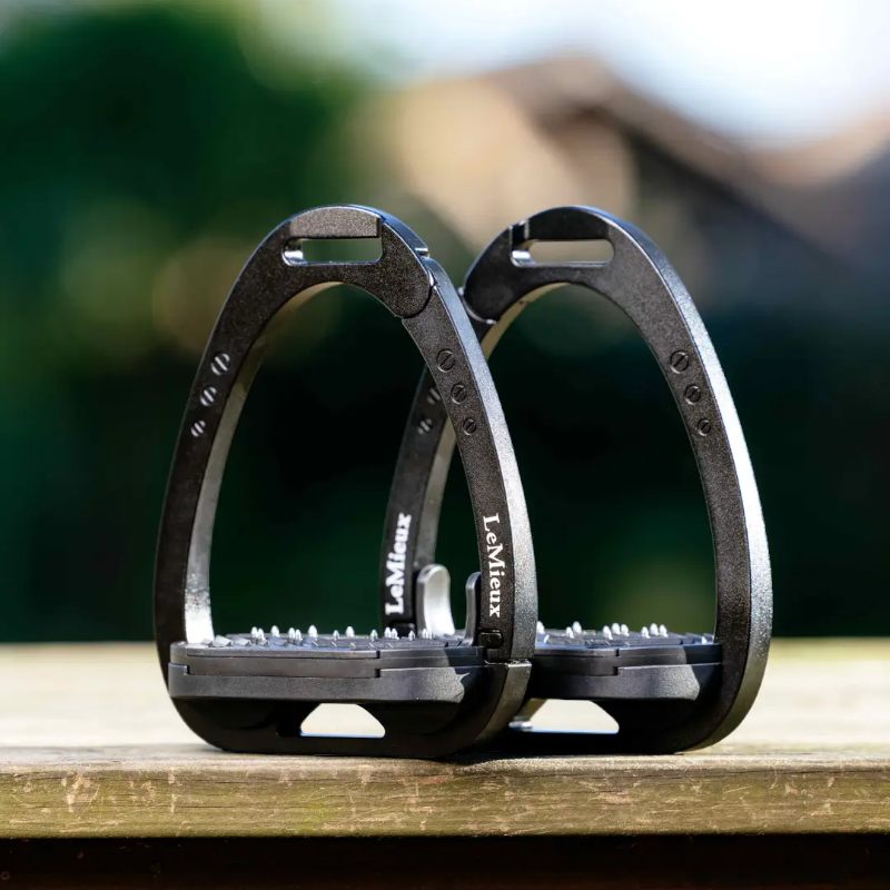 Lemieux - Étriers de sécurité Vector Control noir | - Ohlala