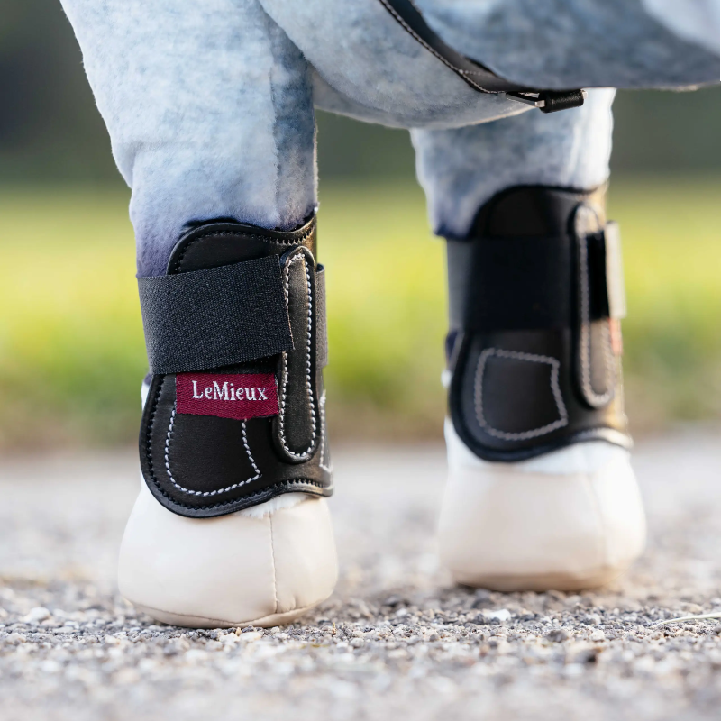 Lemieux - Guêtres pour Toy Pony Capella noir | - Ohlala