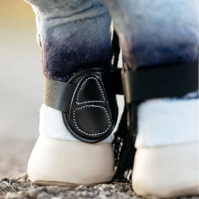 Lemieux - Guêtres pour Toy Pony Capella noir | - Ohlala