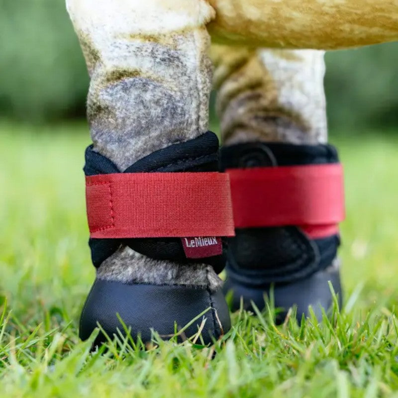 Lemieux - Guêtres pour Toy Pony Grafter chili | - Ohlala