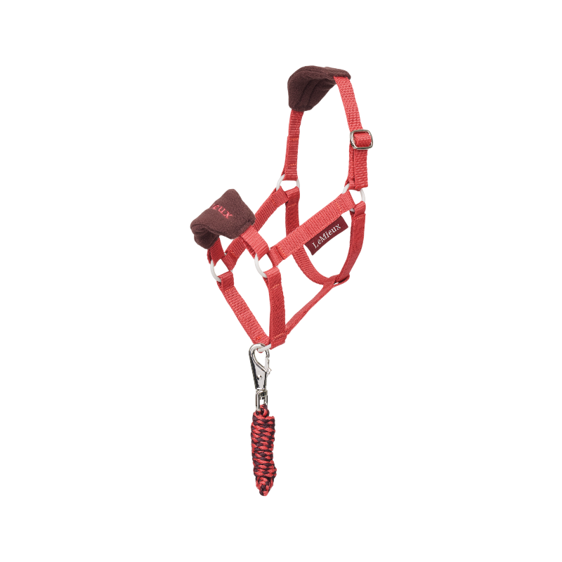 LeMieux - Longe et licol Vogue pour Hobby Horse cranberry | - Ohlala