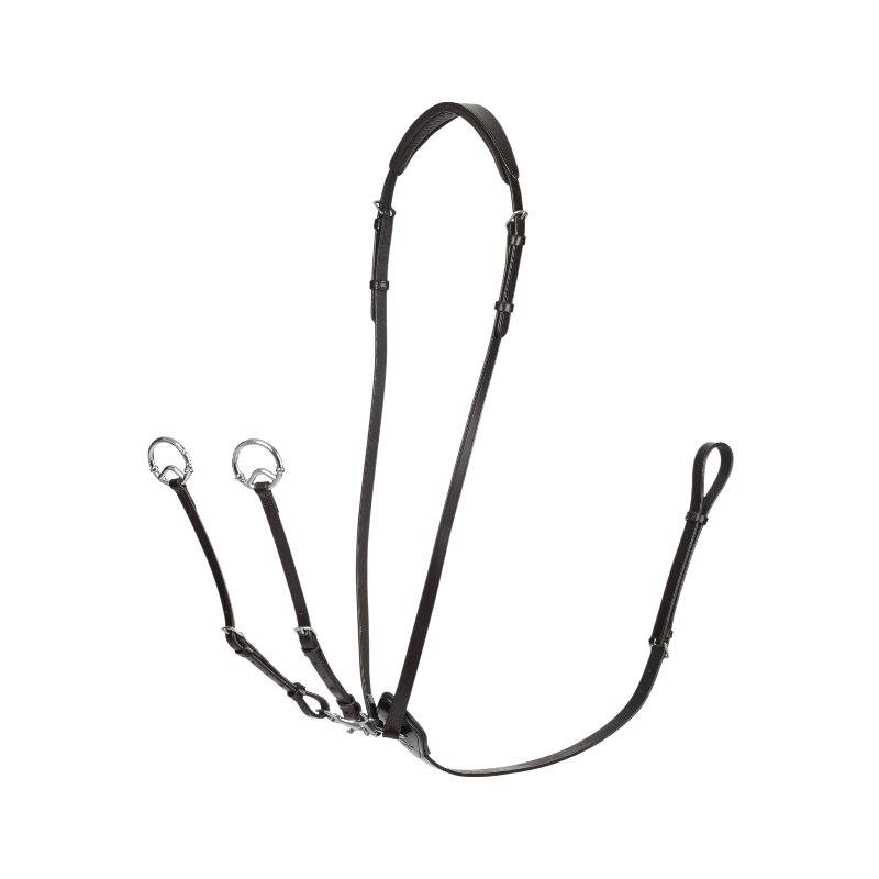 Lemieux - Martingale à anneaux Kudos marron/ argent | - Ohlala