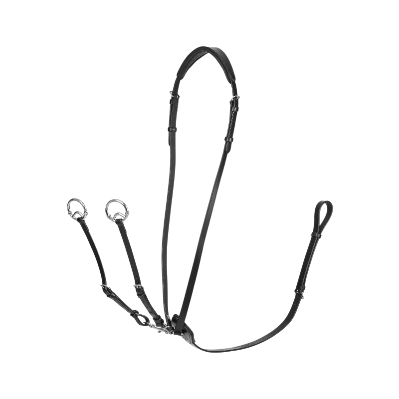 Lemieux - Martingale à anneaux Kudos noir/ argent | - Ohlala