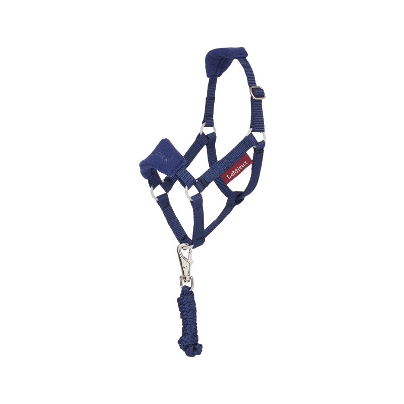 Lemieux - Licol et longe pour Hobby Horse Vogue ink blue | - Ohlala