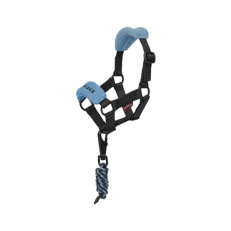 Lemieux - Licol et longe pour Toy Pony Vogue ice blue | - Ohlala