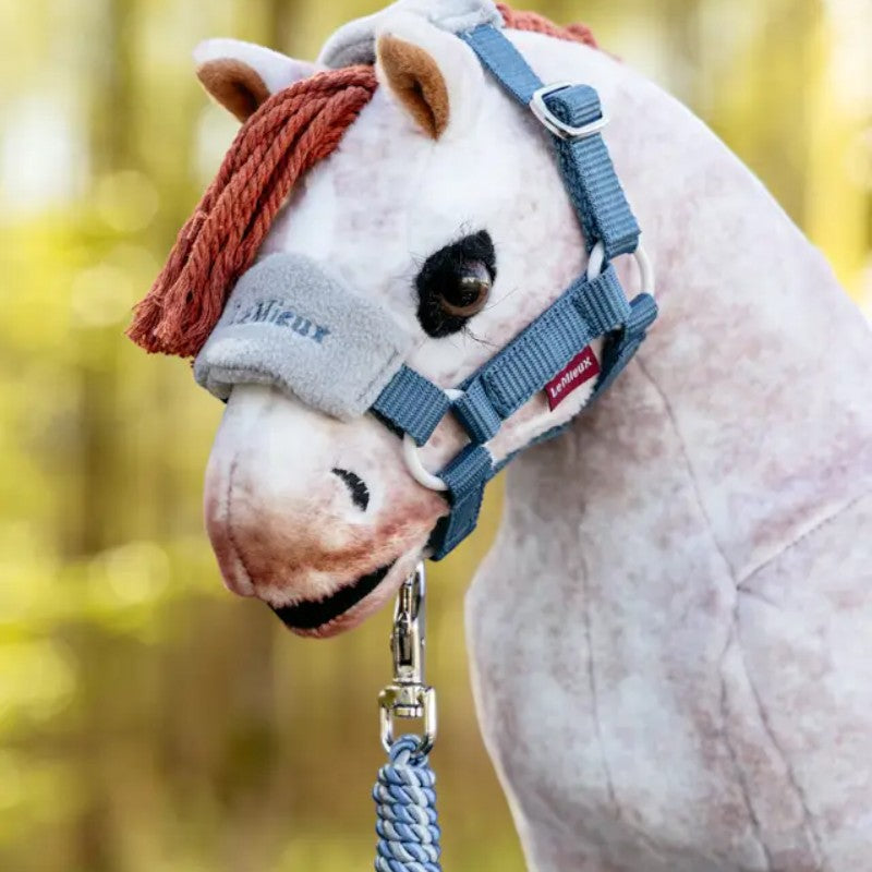 Lemieux - Licol et longe pour Toy Pony Vogue ice blue | - Ohlala
