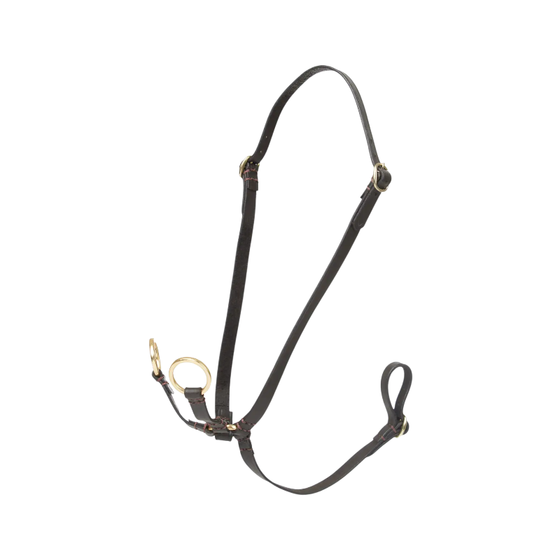 Lemieux - Martingale à anneaux pour hobby horse marron | - Ohlala