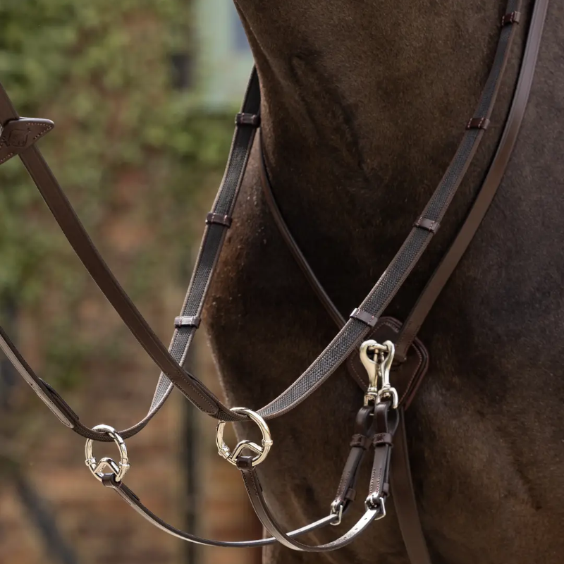 Lemieux - Martingale à anneaux Kudos havane/ argent | - Ohlala