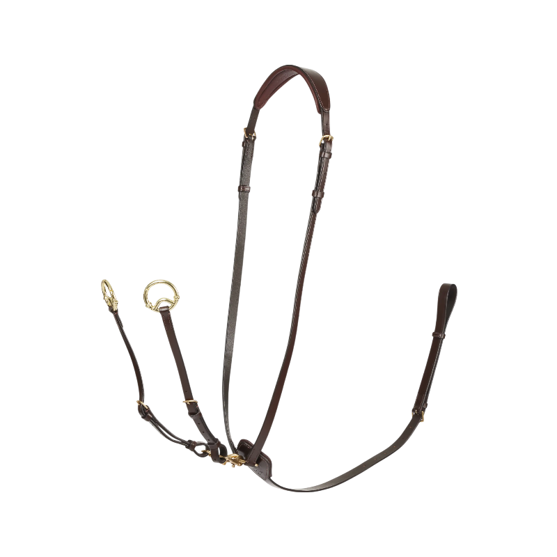 Lemieux - Martingale à anneaux Kudos havane/ laiton | - Ohlala