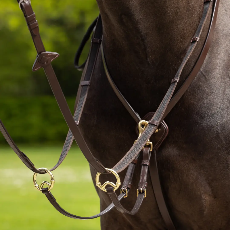 Lemieux - Martingale à anneaux Kudos havane/ laiton | - Ohlala