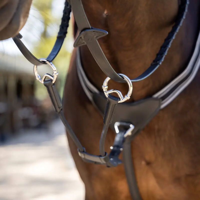 Lemieux - Martingale élastique noir/ argent | - Ohlala