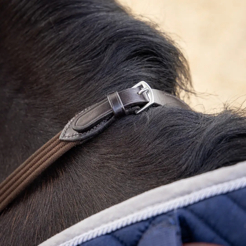 Lemieux - Rênes Webbed Continental marron/ argent | - Ohlala