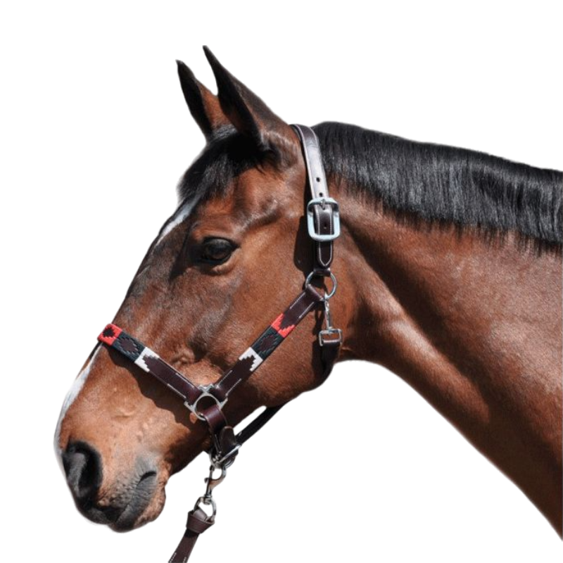 Flags & Cup - Licol Chukka moka / bleu / rouge | - Ohlala