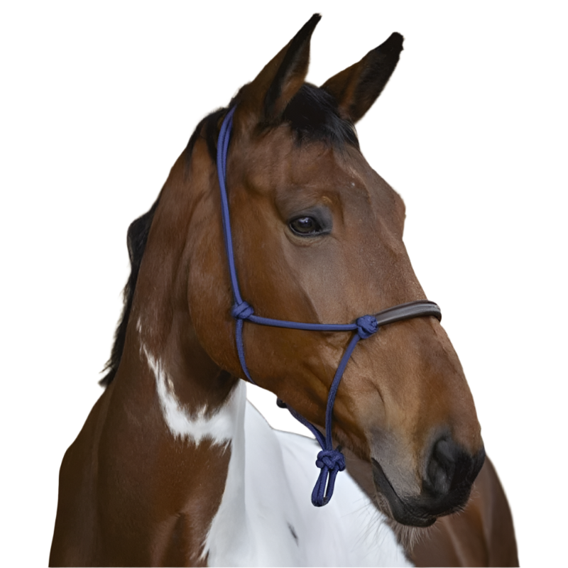 Norton - Licol éthologique corde/ synthétique marine | - Ohlala